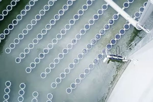 Ihr Ansprechpartner für Rührwerke mit Grundfos Technik in Bayern.