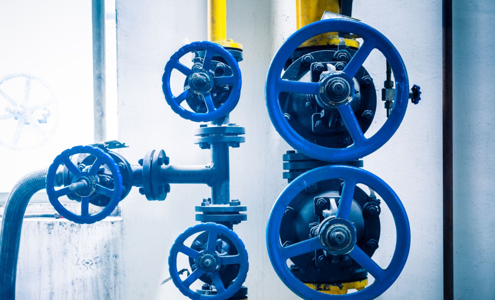 Reparatur von Pumpen mit Wagner - Wartungsarbeiten und Reparaturen